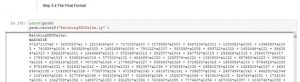An Introduction To Linear Optimization