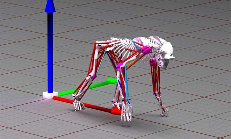 AVBytes: AI & ML Developments this week - Pandas on Ray, Windows ML ...