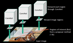 Introduction to Object Detection Algorithms