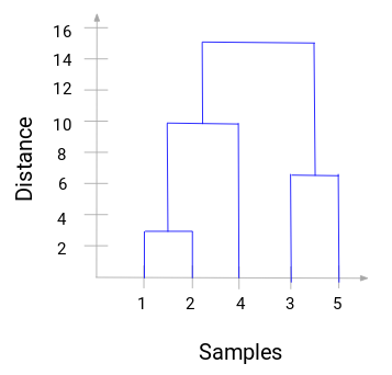 final dendrogram