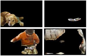 Mask R-CNN for Image Segmentation - Analytics Vidya