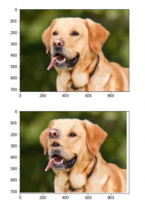 Convolutional Neural Network Pytorch | CNN Using Pytorch