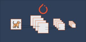 Convolutional Neural Network Pytorch | CNN Using Pytorch