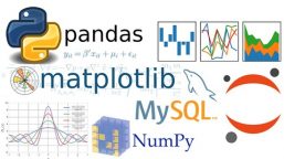 Top 10 Uses of Python in the Real World with Examples