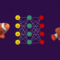 Autoencoders | Enhancing Image Resolution