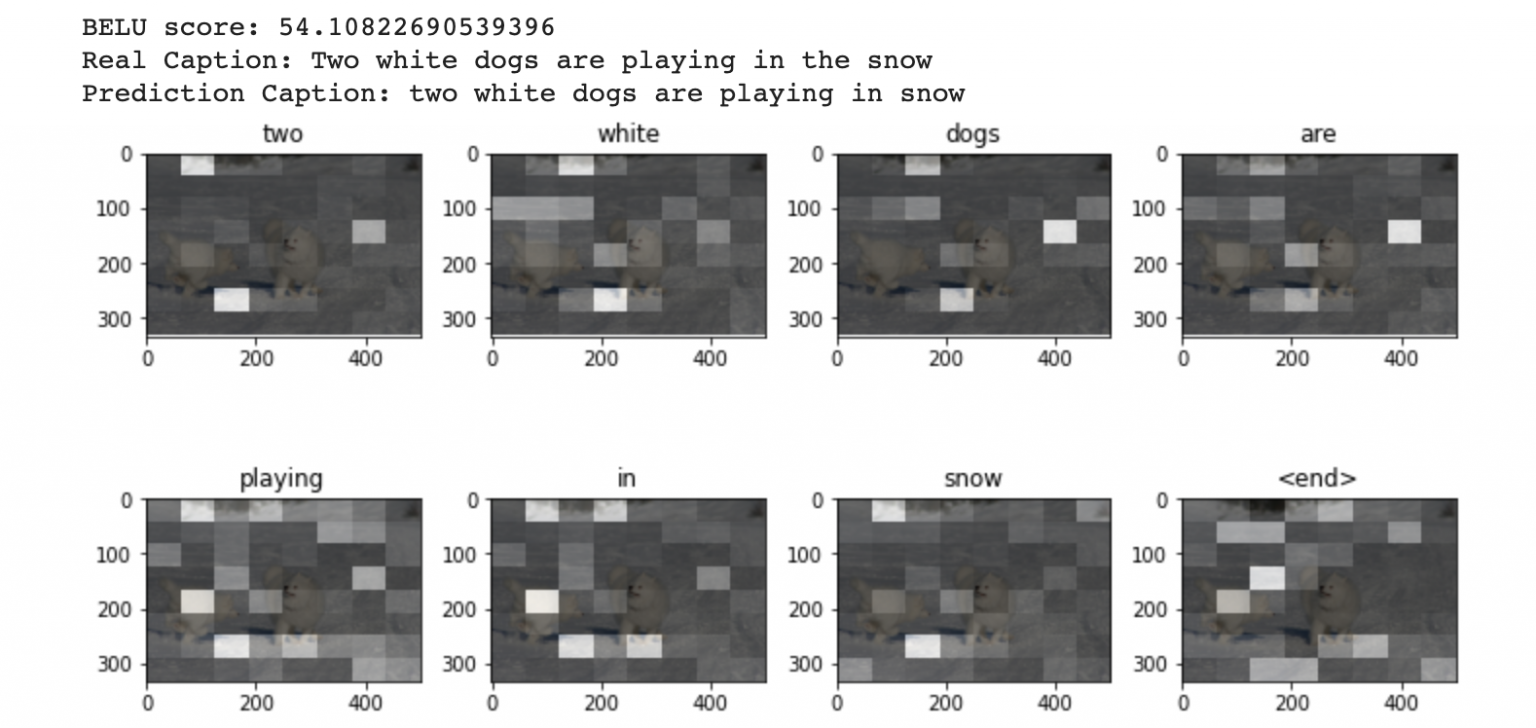 Attention Mechanism For Image Caption Generation in Python