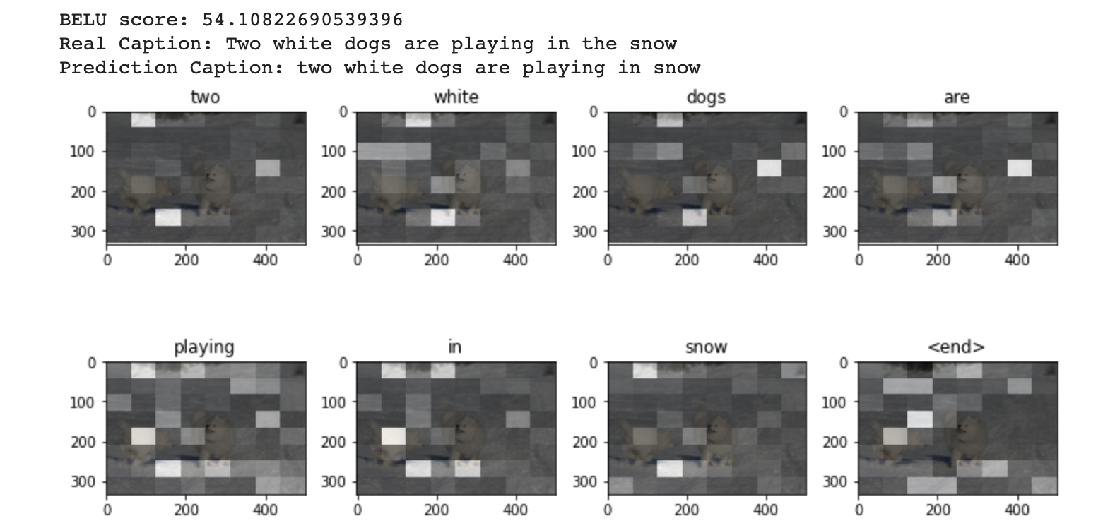 Attention Mechanism For Image Caption Generation in Python