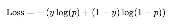 Entropy Loss