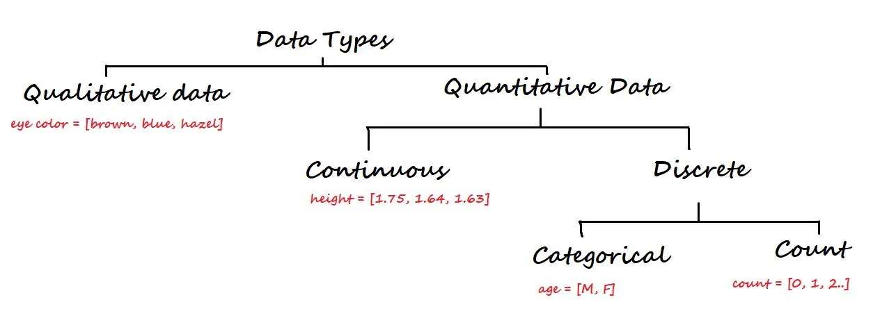 Data Types