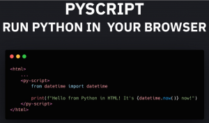 Make Amazing Data Science Projects using PyScript.js
