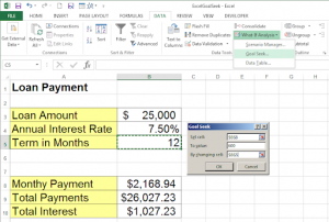 Goal Seek