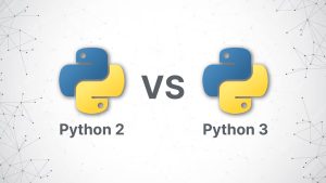 What Is The Difference Between Python 2 and Python 3?