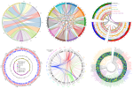 PyCirclize: Circular Data Visualization in Python for Beginners