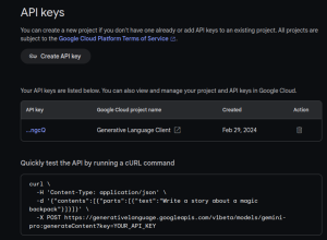 How to Access and Use the Gemini API?