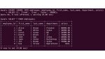 SQL Insert Statement