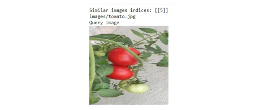 Image Similarity Search