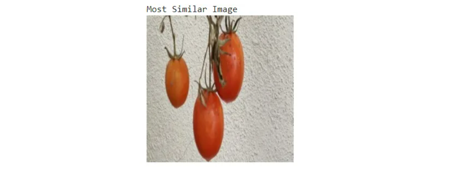 Image Similarity Search