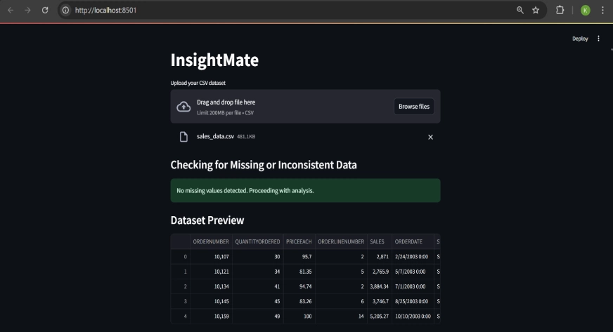  InsightMate : Initial Overview Generation on the Dataset