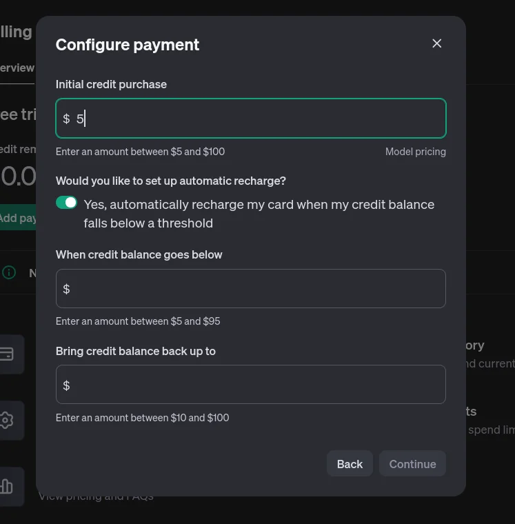 Configure Payment: OpenAI API Key