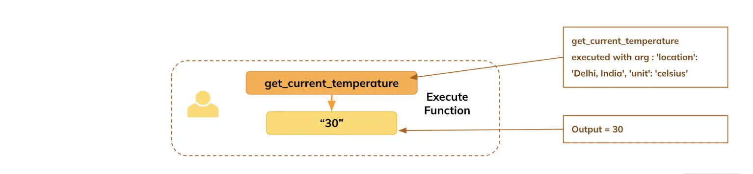 Executing Functions and Obtaining Results