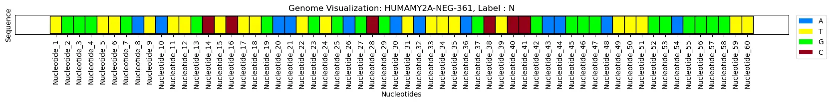 Genom-Kitikiplot