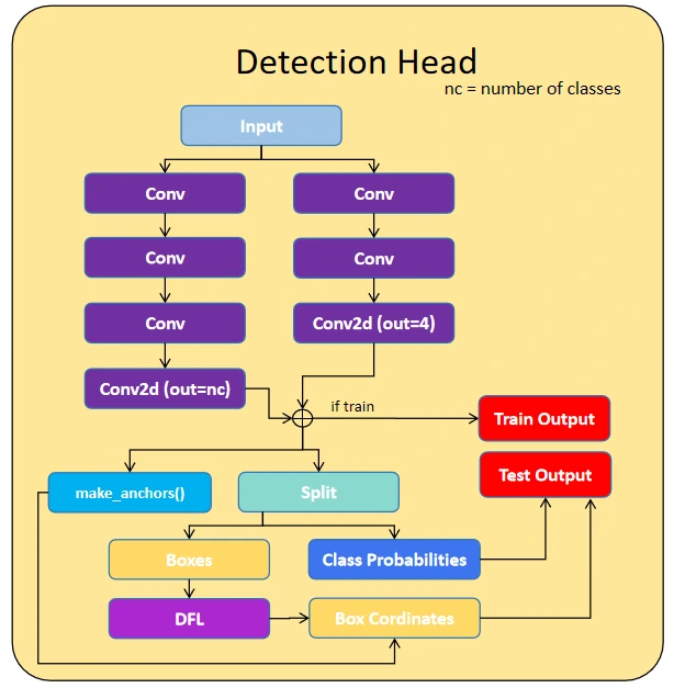 Object Detection Head Block in YOLOv11 Model