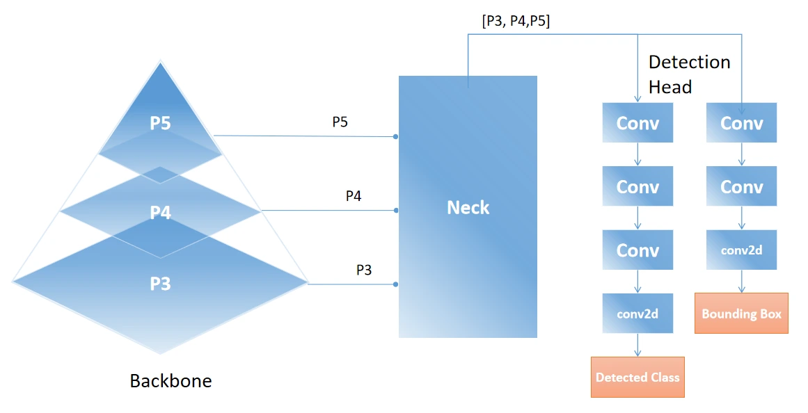 Overview of the model working: YOLOv11 Model