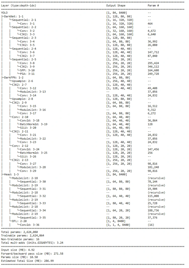 YOLOv11 Model Summary