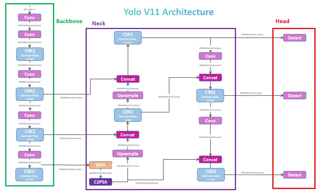 Diving into YOLOv11 Architecture