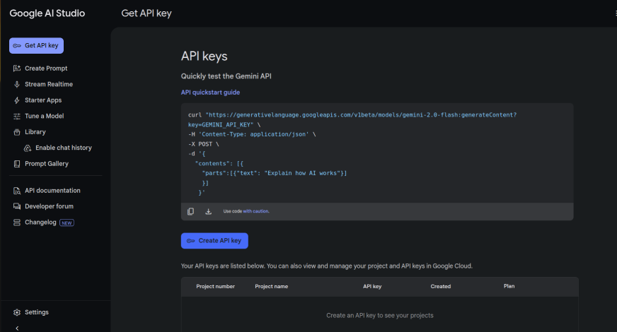 Gemini API key