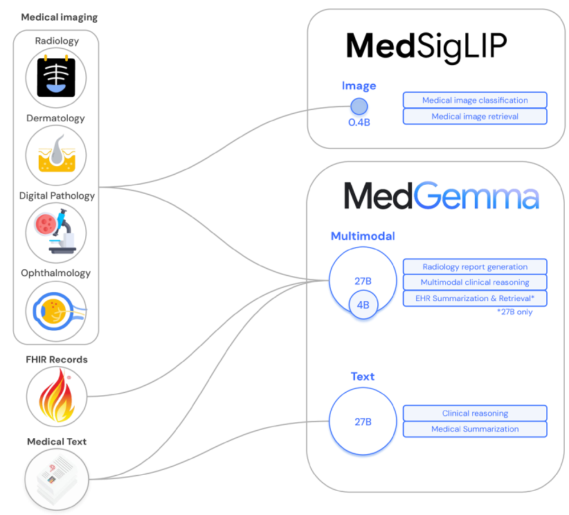 MedGemma Workflow