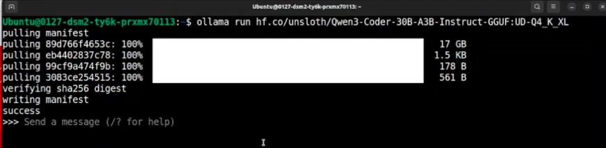 Run the Model - Qwen3 Coder