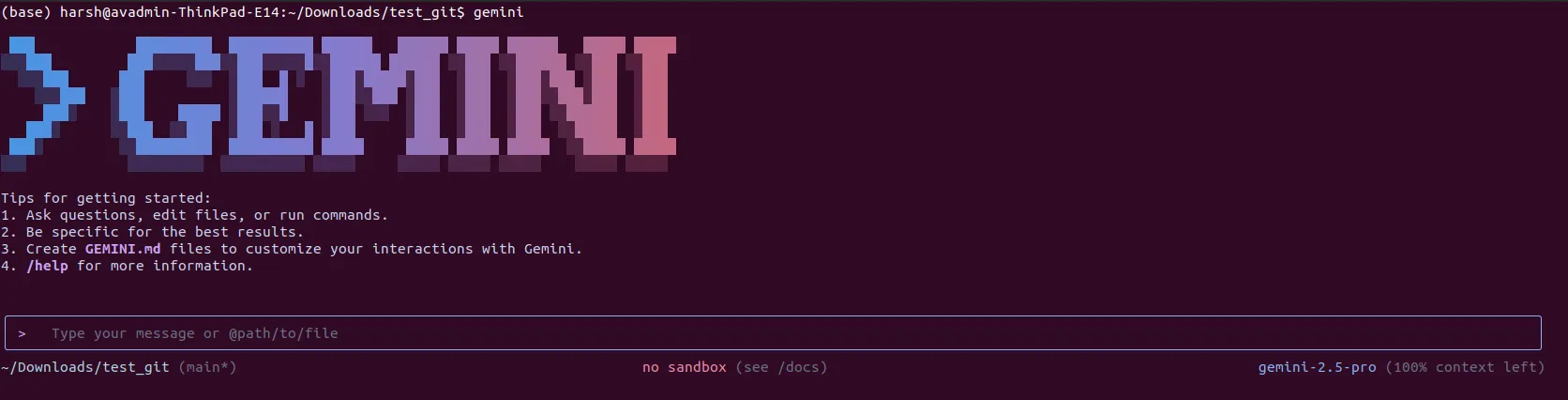 Gemini CLI