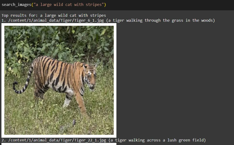 a large wild cat with stripes search