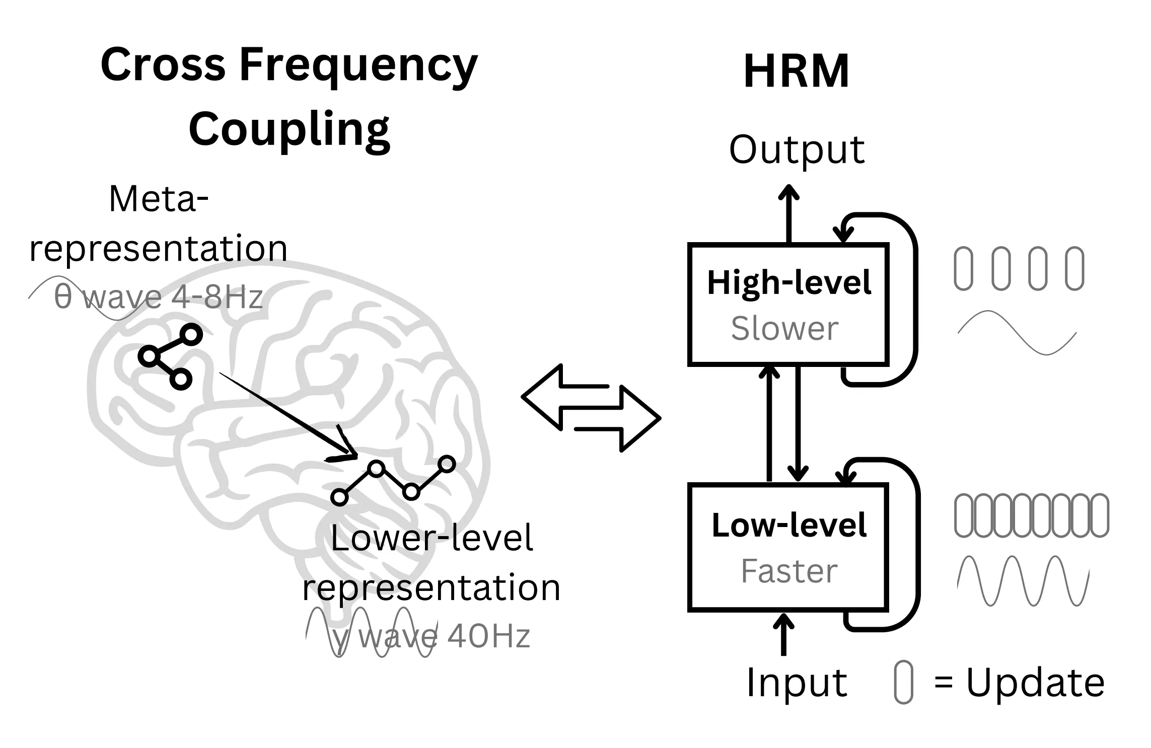 Cross Frequency Coupling