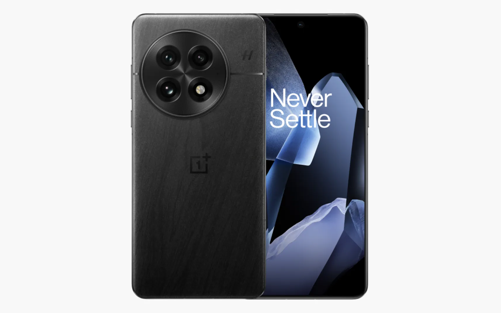 OnePlus 13