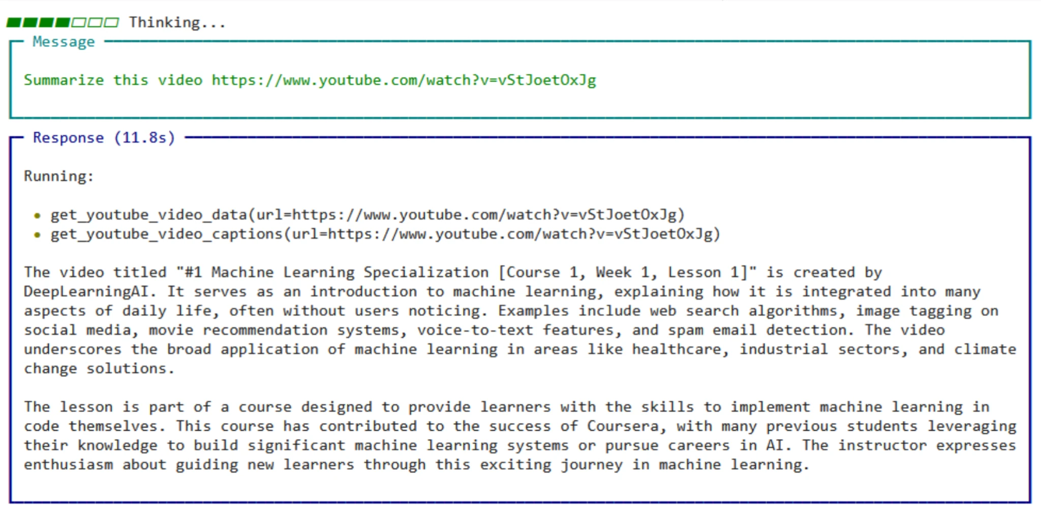 YouTube Summarizer Output