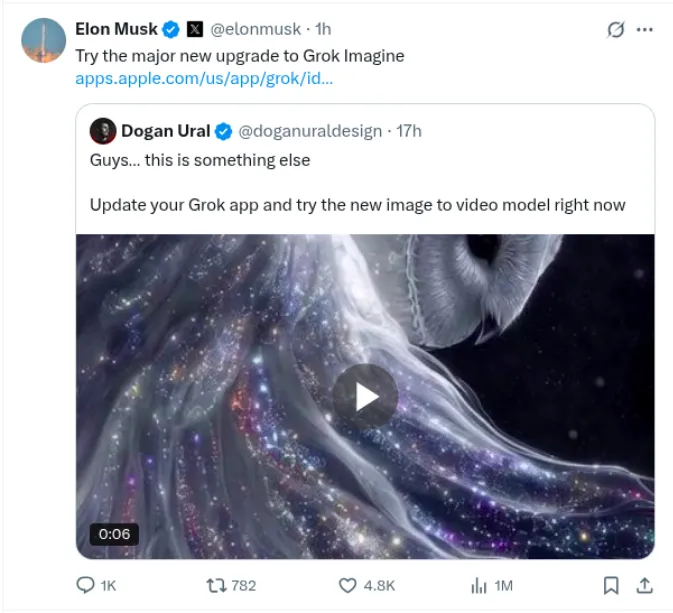 Musk Update