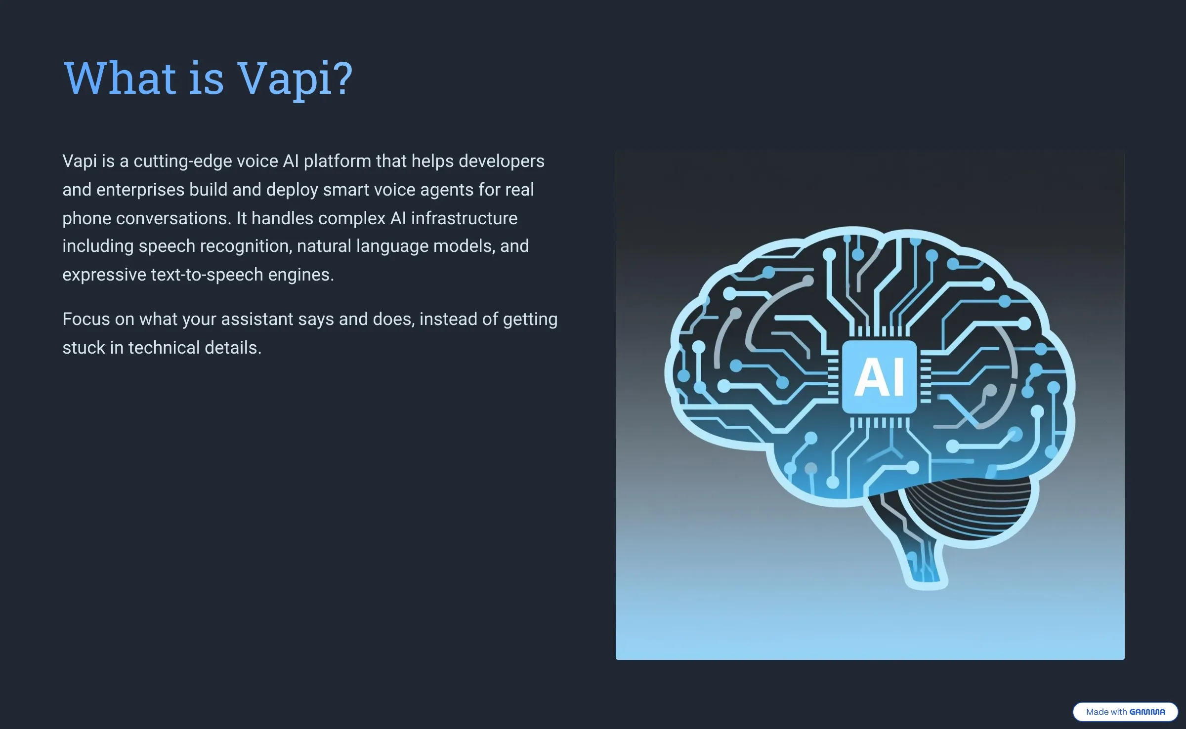 What is Vapi