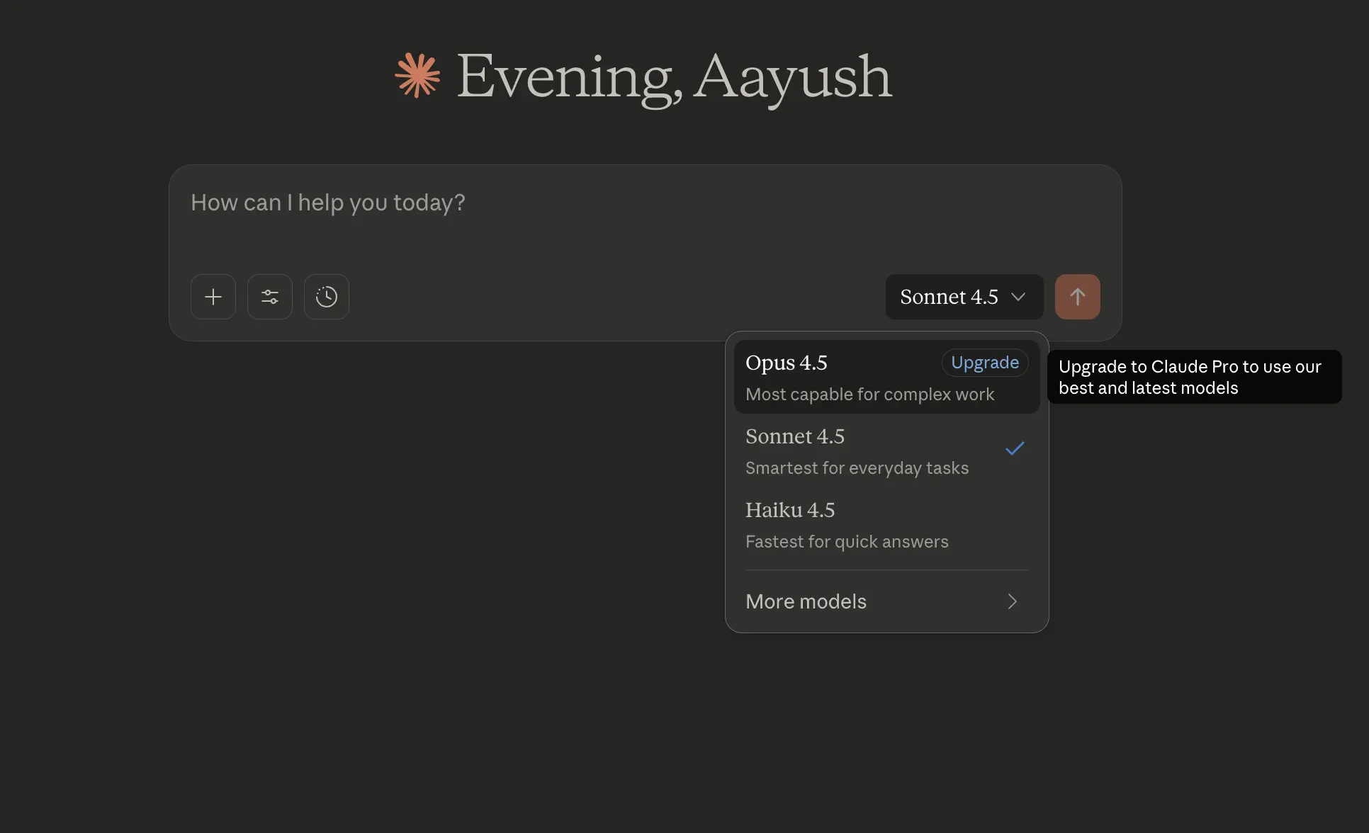 Claude Interface to access Opus 4.5
