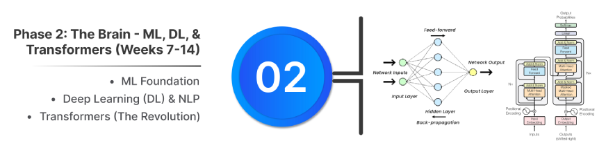 Phase 2: The Brain - ML, DL, & Transformers (Weeks 7-14) | GenAI Roadmap
