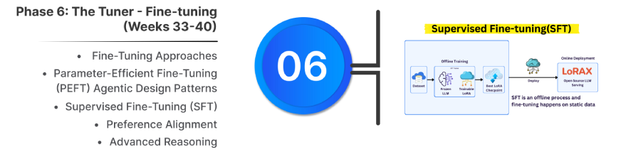 Phase 6: The Tuner - Fine-tuning (Weeks 33-38) | GenAI roadmap