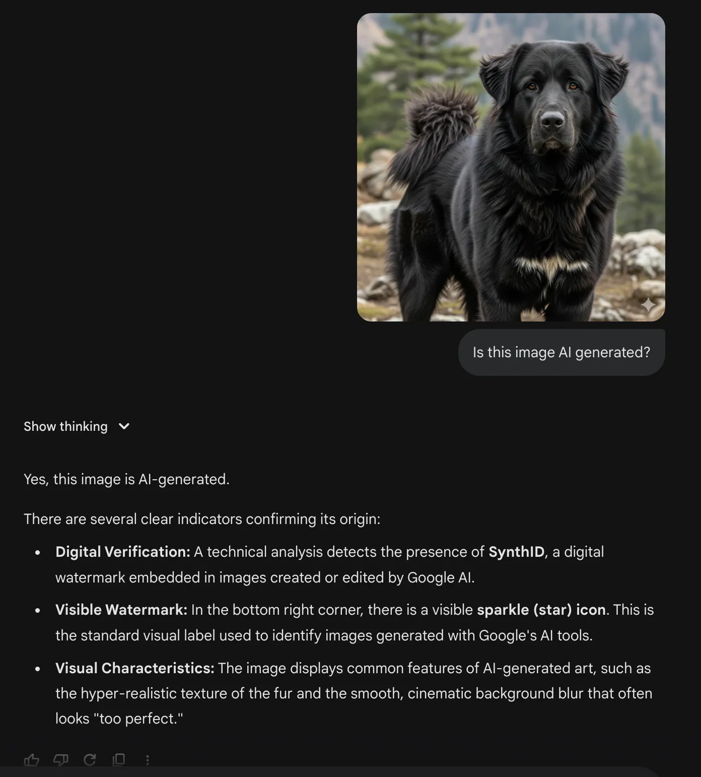 Correct AI-Detection result and reasoning