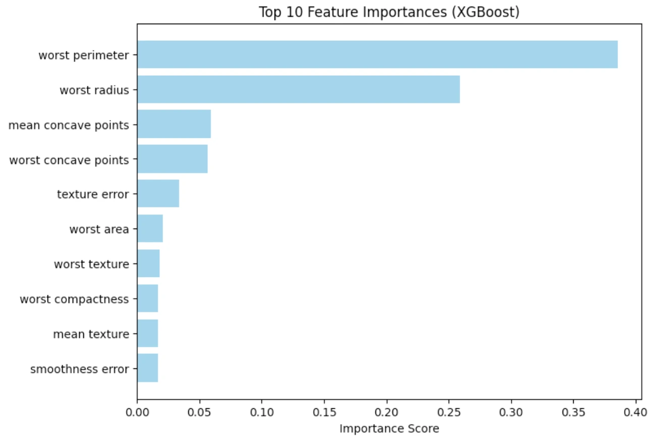XGBoost | Understanding Feature Importance