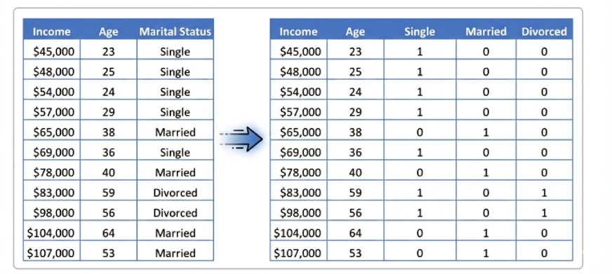 What Is the Dummy Variable Trap?