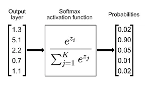 Role of softmax and probabilities