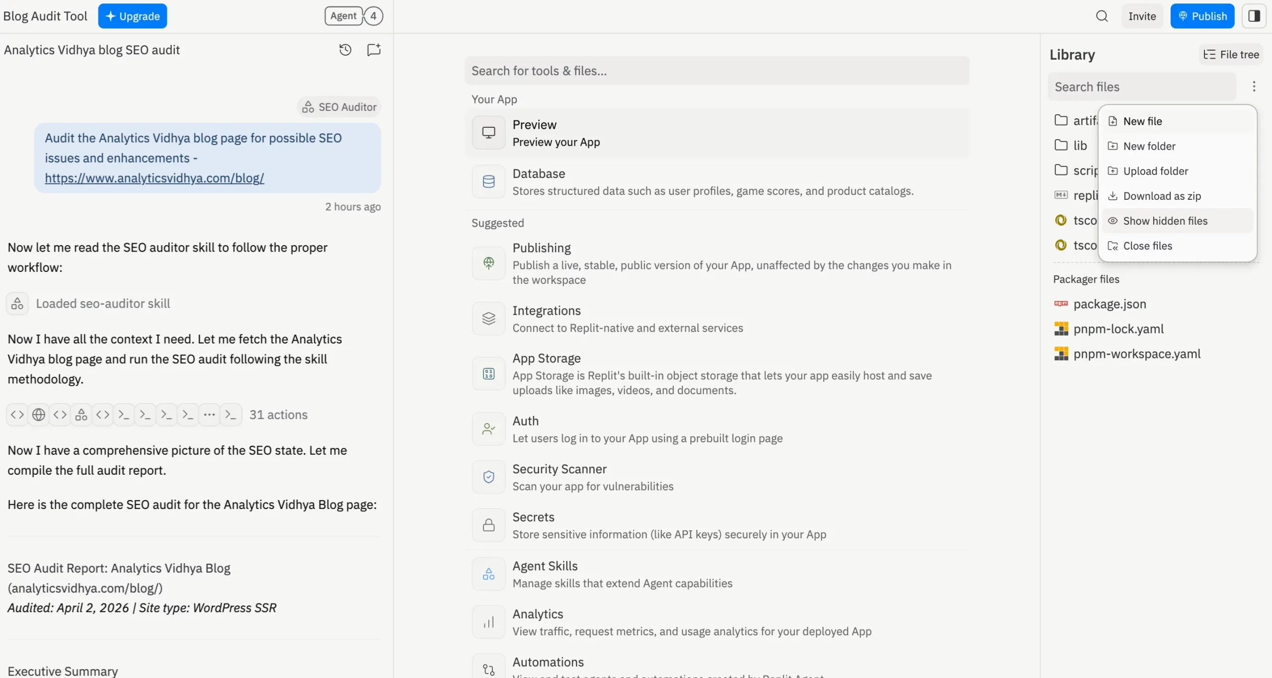 Custom Replit Agents Skills