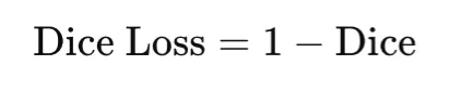 Dice Loss 