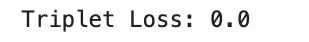 Triplet Loss 