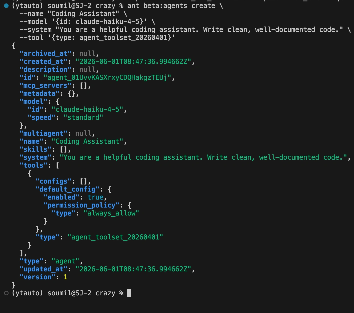 coding assistant json file